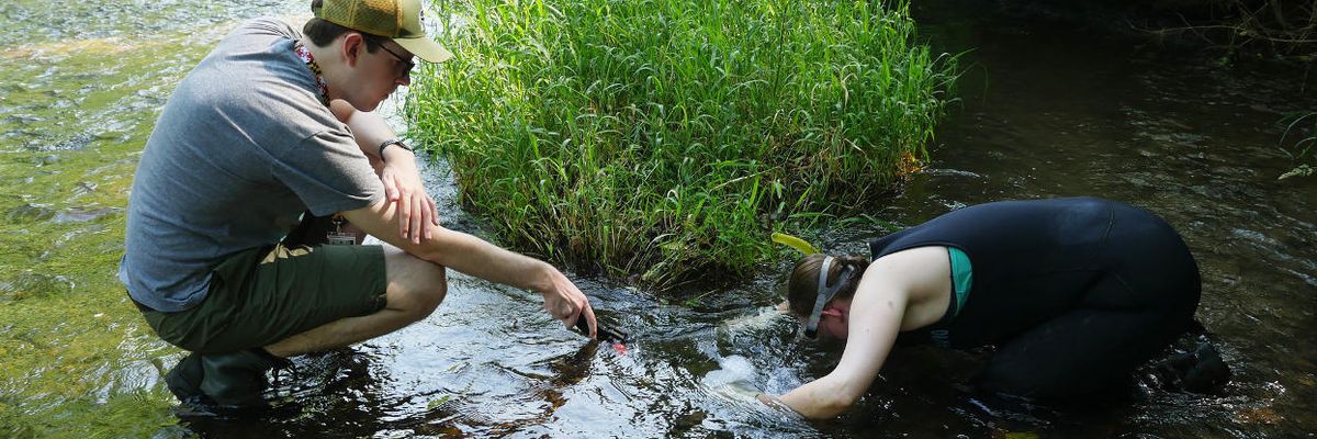 Bringing back natural water filters in Maryland and beyond