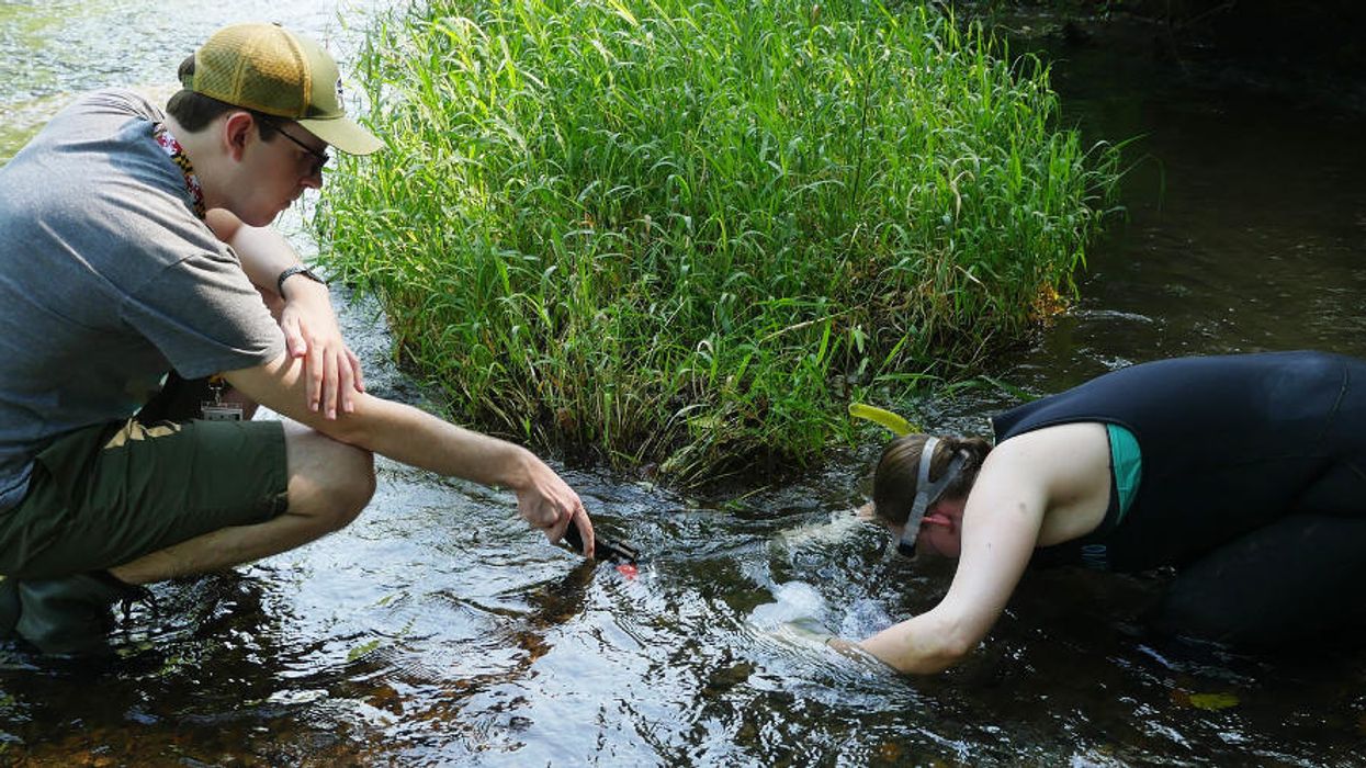 Bringing back natural water filters in Maryland and beyond