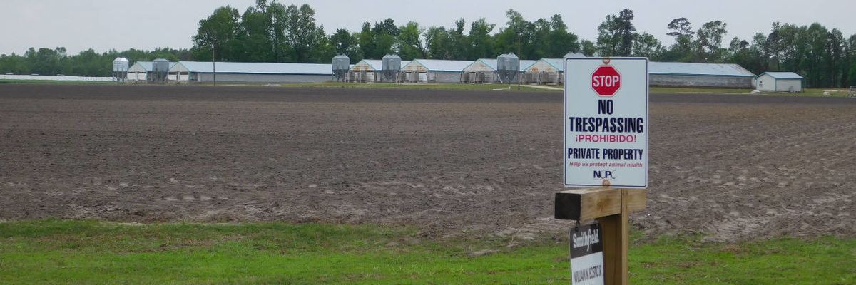 Peter Dykstra: At the courthouse, the smell of defeat and the stench of victory