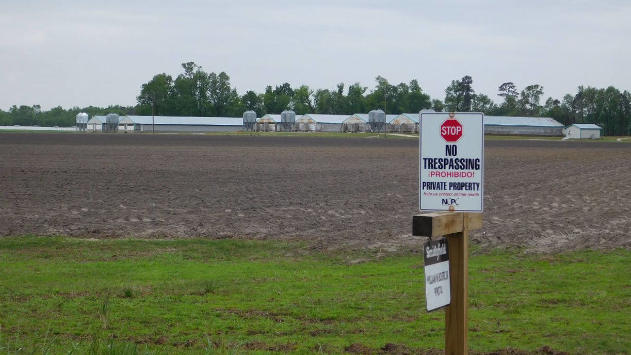 Peter Dykstra: At the courthouse, the smell of defeat and the stench of victory