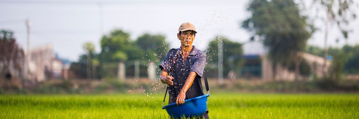 Rising CO2 will leave crops—and millions of humans—less healthy