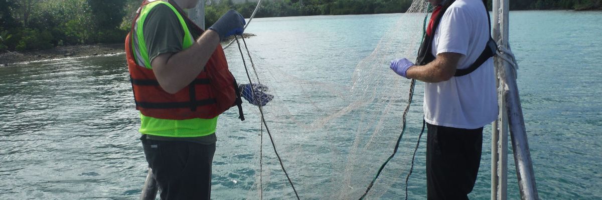 Dieldrin dilemma: How dated science and fish-eating advisories may be putting brains at risk