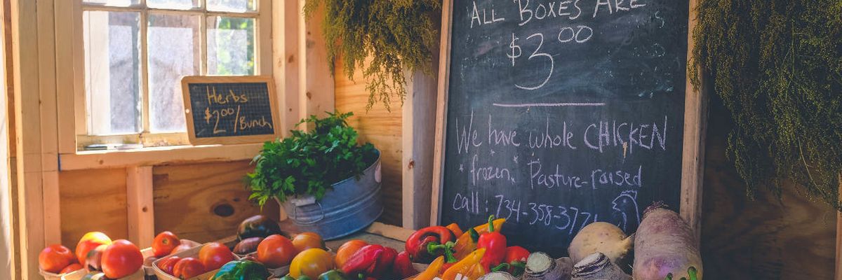 Charles Benbrook: New study showing organic diets cut cancer risk is a big deal. Let’s treat it that way.