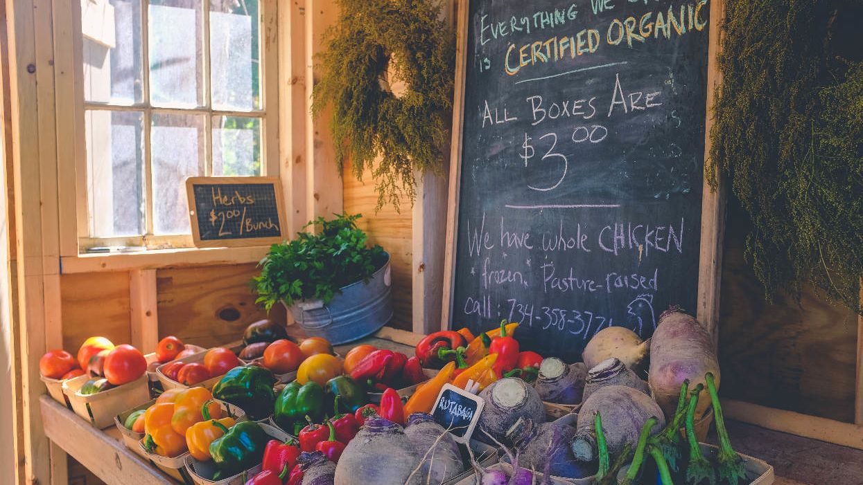 Charles Benbrook: New study showing organic diets cut cancer risk is a big deal. Let’s treat it that way.