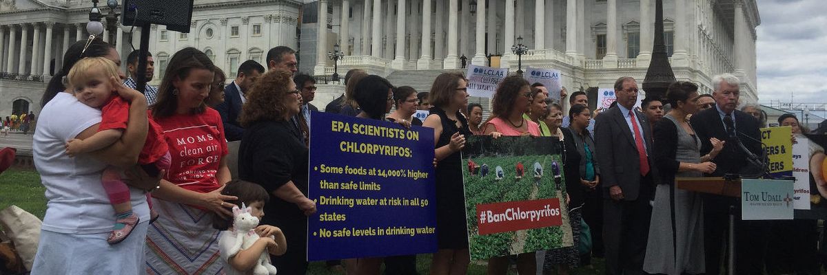 Industry studies show evidence of bias and misleading conclusions on widely used insecticide: Scientists