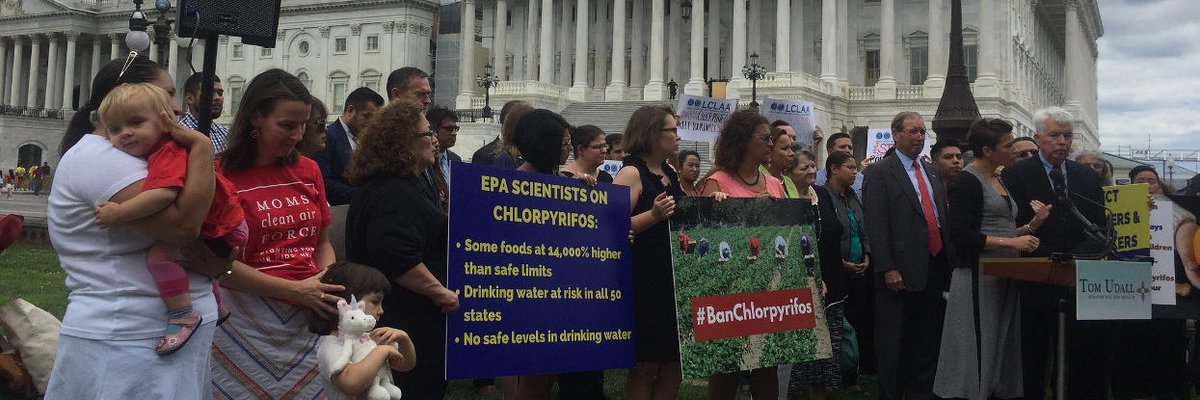 Industry studies show evidence of bias and misleading conclusions on widely used insecticide: Scientists