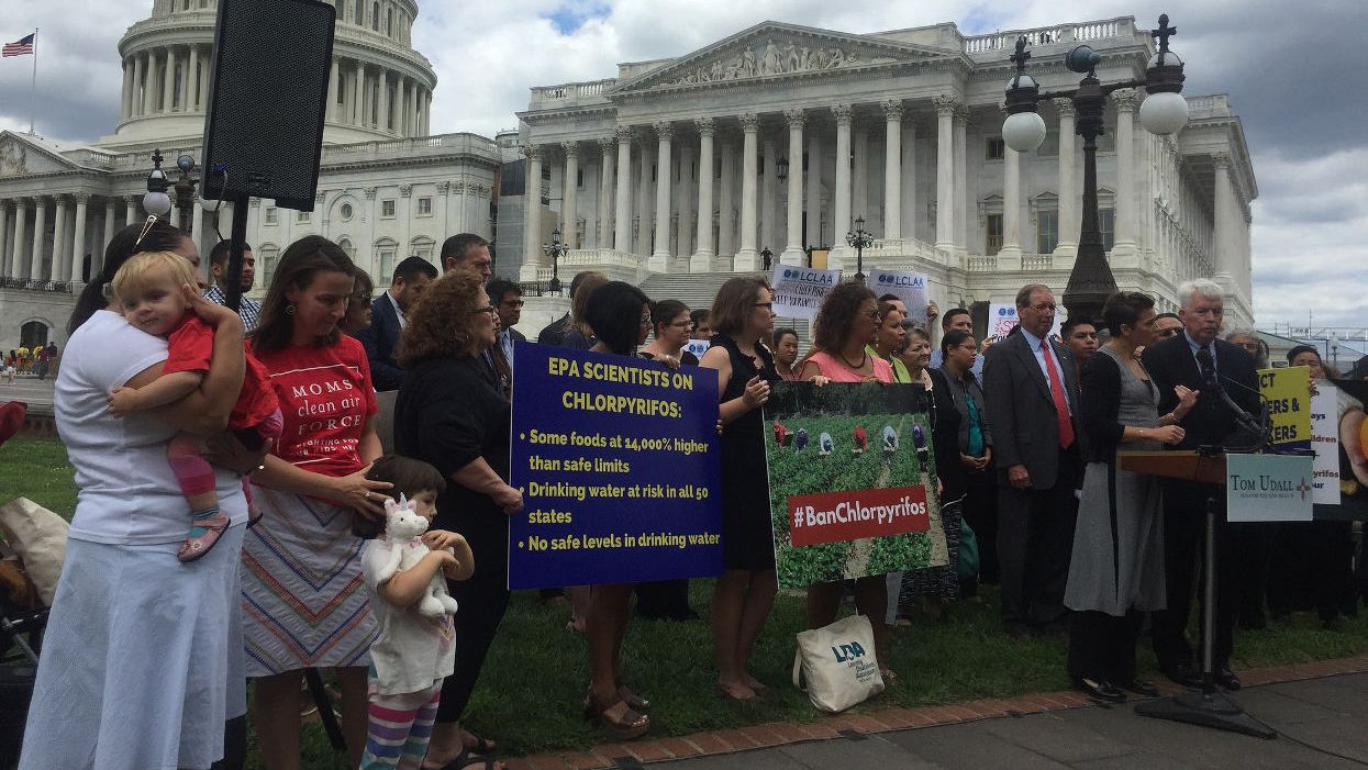 Industry studies show evidence of bias and misleading conclusions on widely used insecticide: Scientists