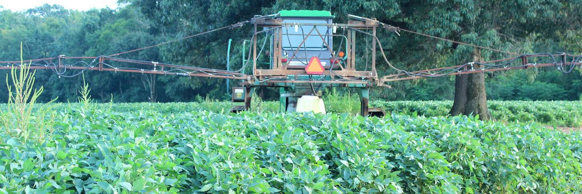 Chemicals on our food: When “safe” may not really be safe