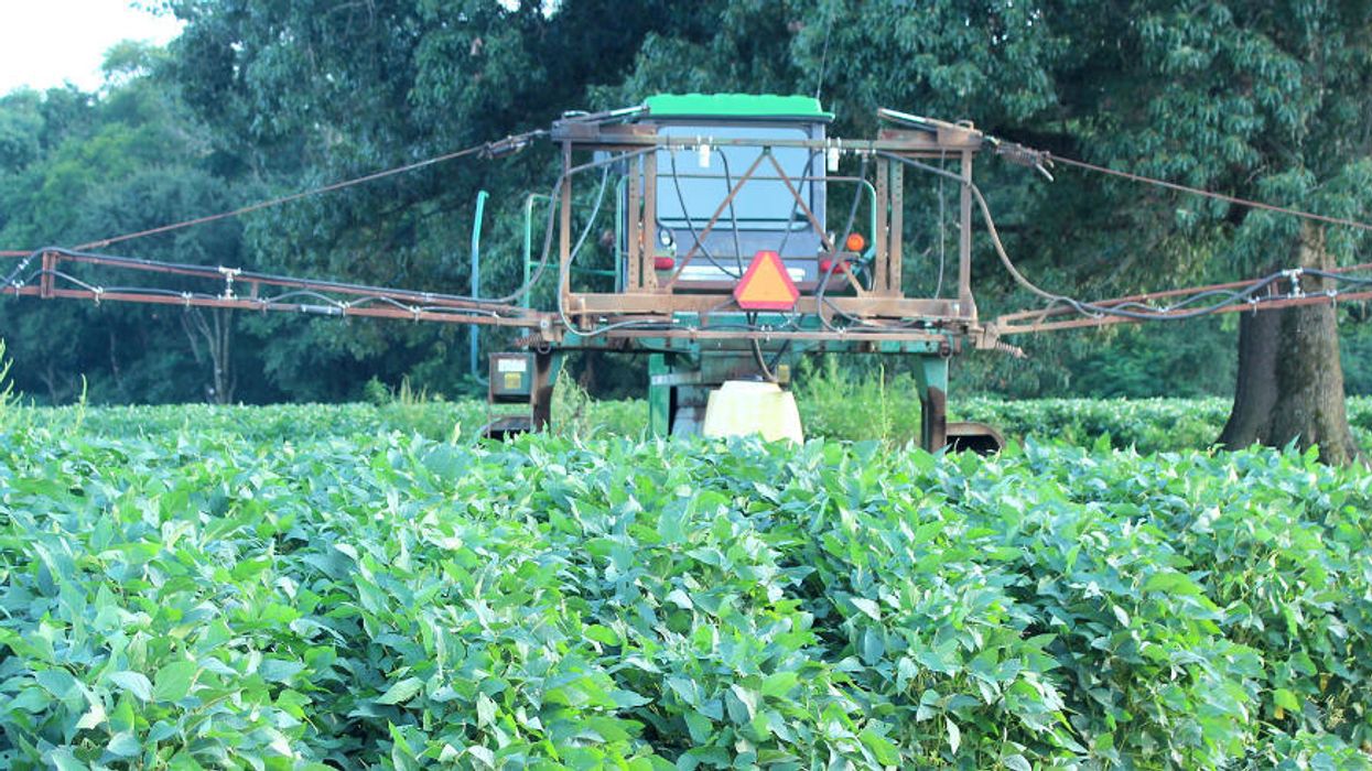 Chemicals on our food: When “safe” may not really be safe