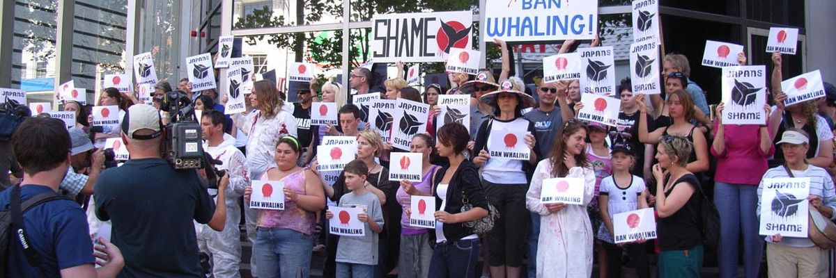 Peter Dykstra: Of whales and men