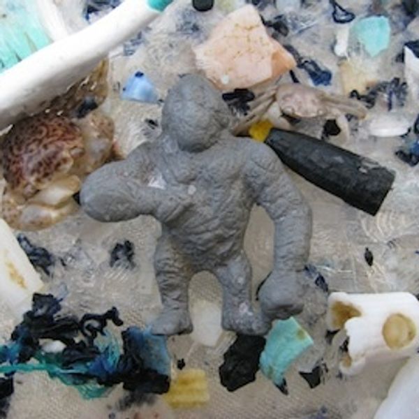 Peter Dykstra:  The 800-lb (cheap, plastic) gorilla in our oceans