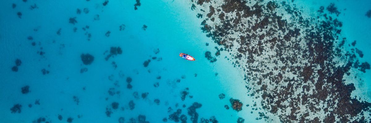 Tom Dillon: How fishing subsidies hurt the ocean—and us, too