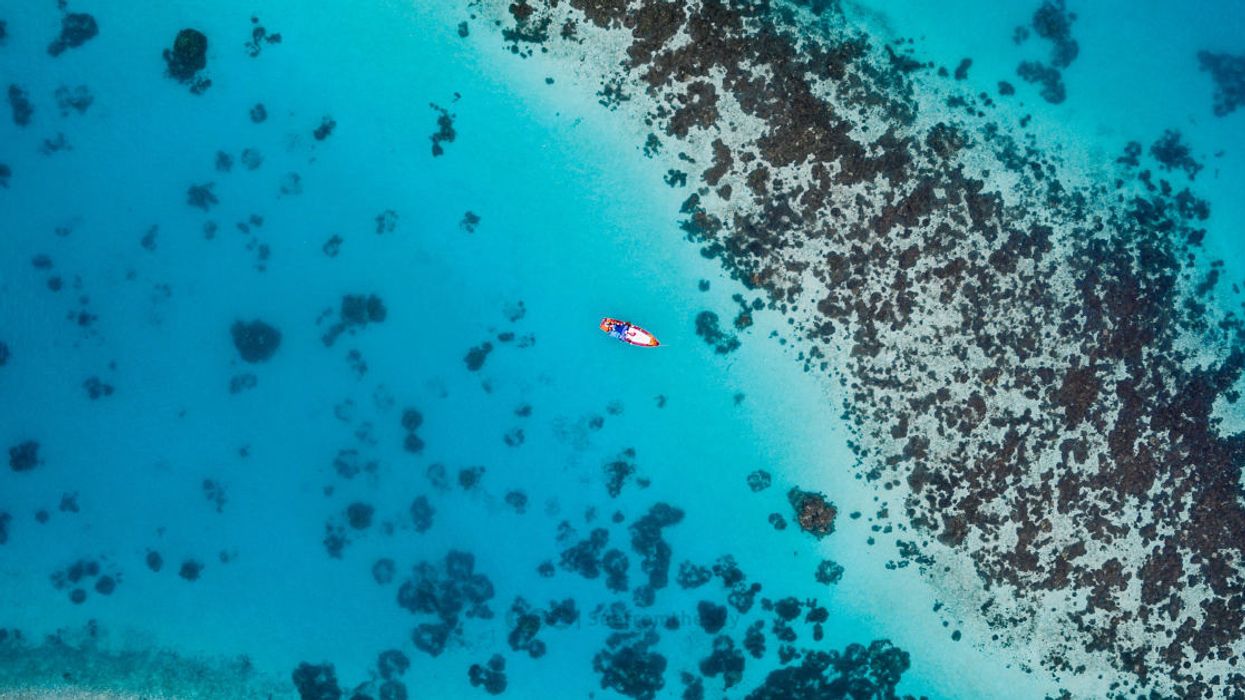 Tom Dillon: How fishing subsidies hurt the ocean—and us, too