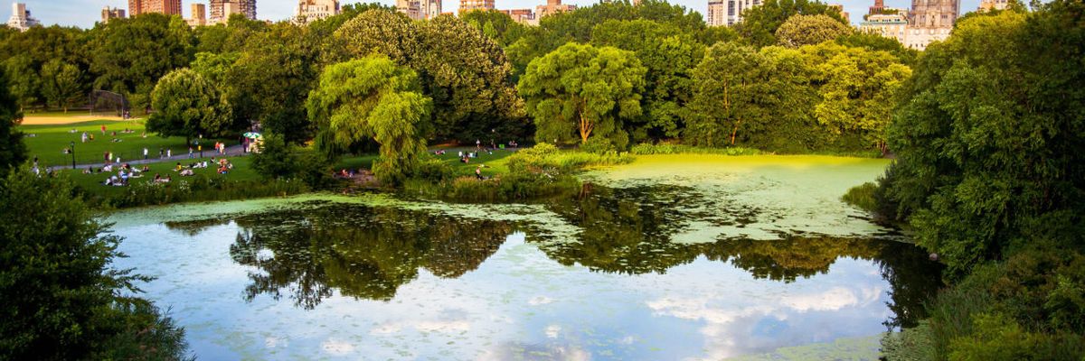 NYC leaders join calls for ban on Monsanto herbicide