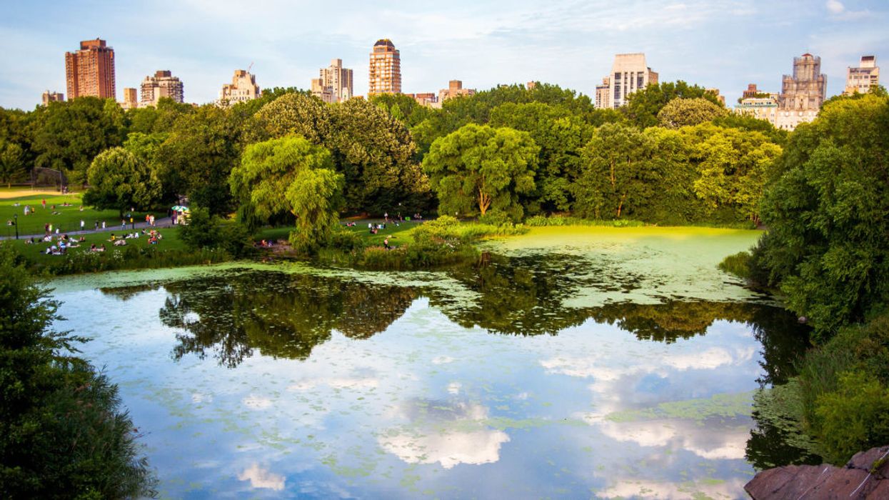 NYC leaders join calls for ban on Monsanto herbicide