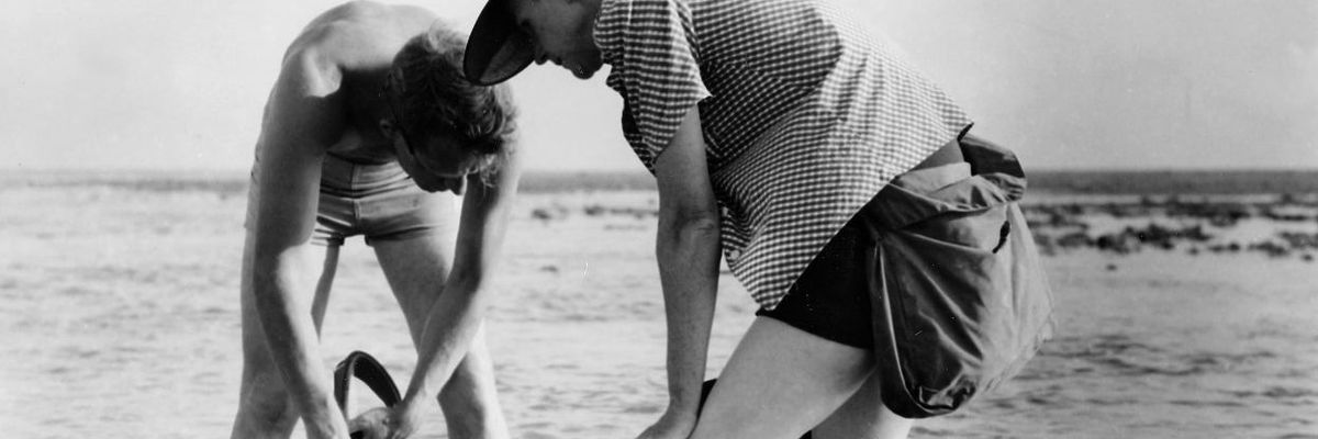 Peter Dykstra: Your Environment 101 syllabus