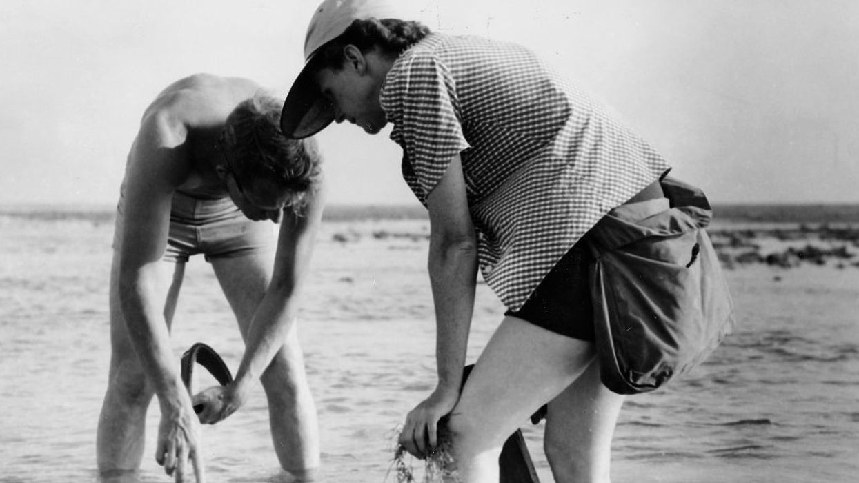 Peter Dykstra: Your Environment 101 syllabus