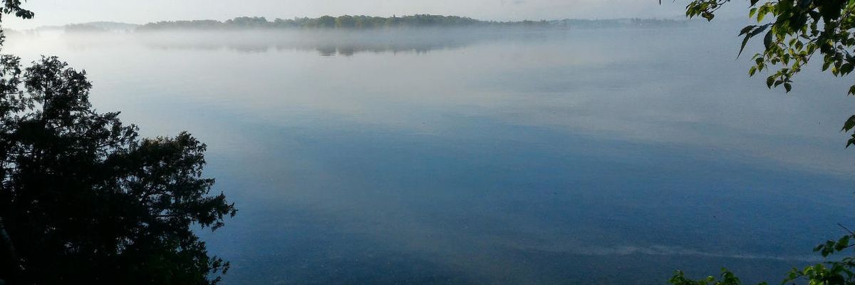 Pesticides are all over the St. Lawrence River — many at levels that hurt fish and invertebrates