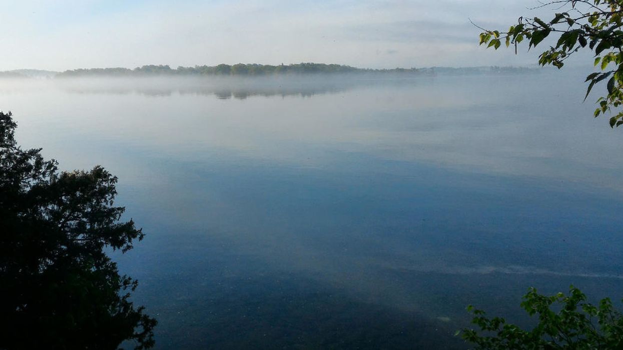 Pesticides are all over the St. Lawrence River — many at levels that hurt fish and invertebrates