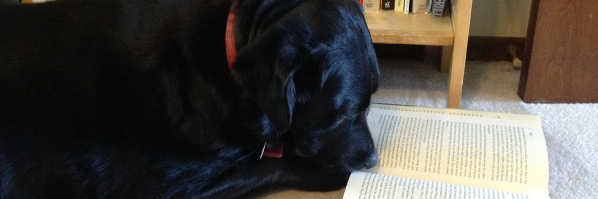 Welcome our hardworking interns — and, hey, whatcha reading?