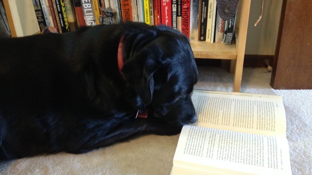 Welcome our hardworking interns — and, hey, whatcha reading?