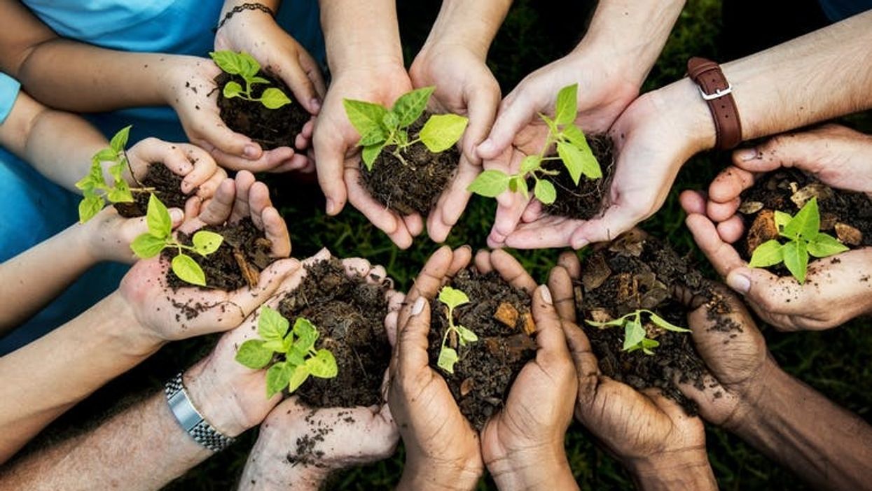 Women are rising in the conservation movement, but still face #MeToo challenge