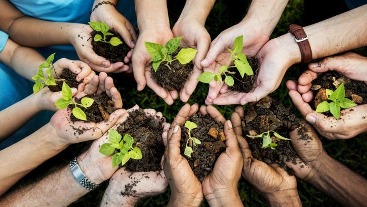 Women are rising in the conservation movement, but still face #MeToo challenge