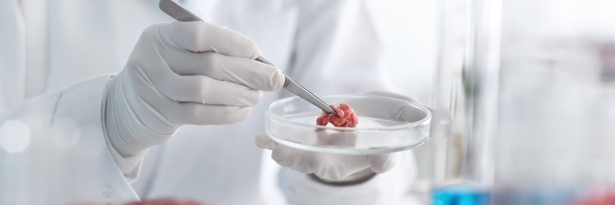 What’s in a name? Legislatures labor over lab meat label