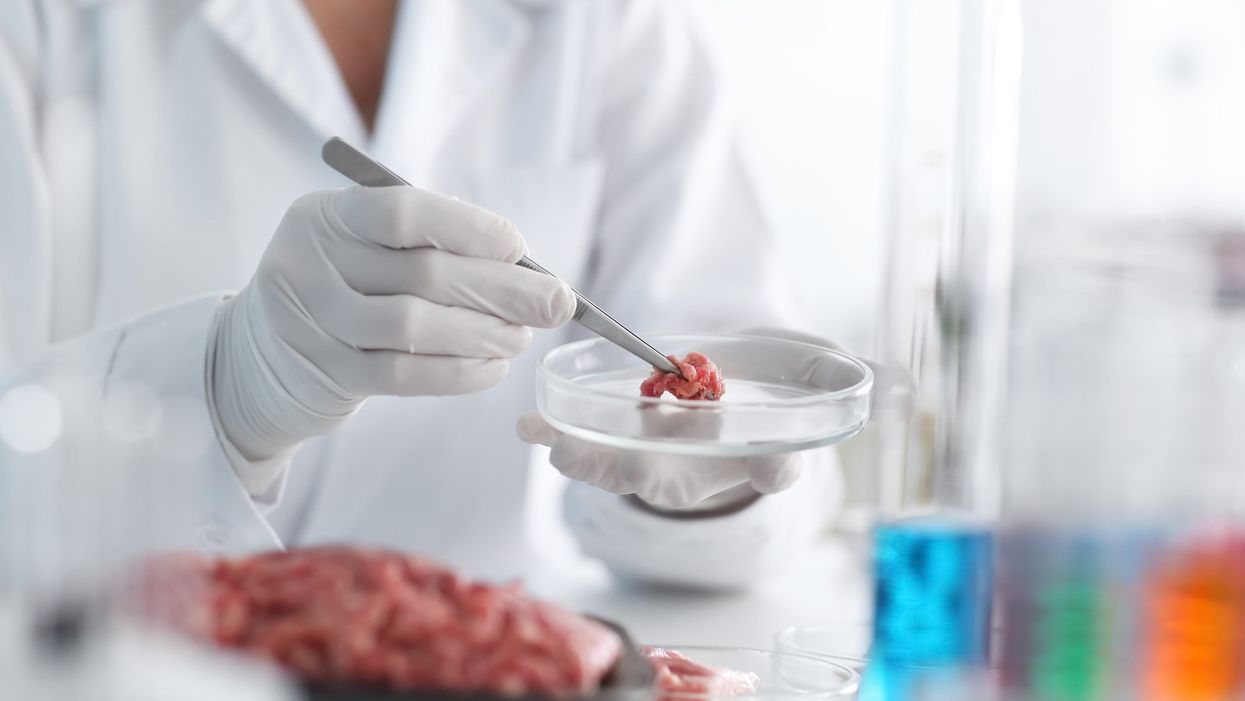 What’s in a name? Legislatures labor over lab meat label