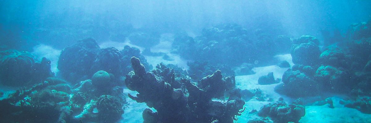 Surprise! Unexpected ocean heat waves are becoming the norm