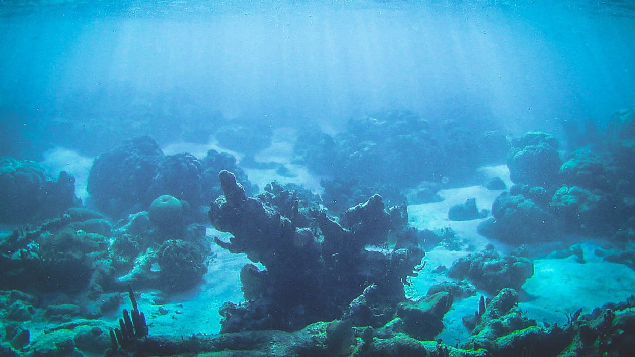 Surprise! Unexpected ocean heat waves are becoming the norm