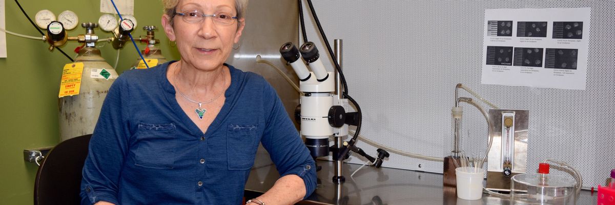 Exposed: On the edge of research honesty