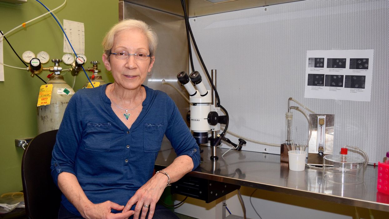 Exposed: On the edge of research honesty