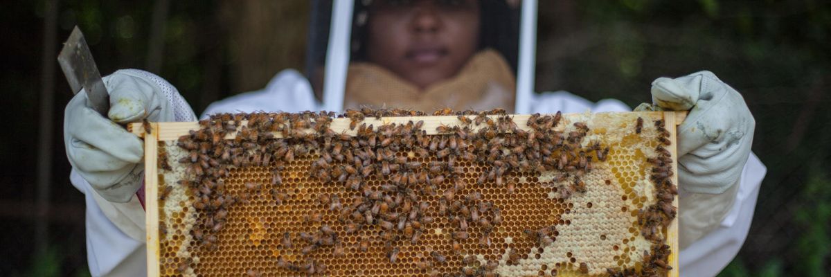 Creating a buzz in Detroit’s vacant lots