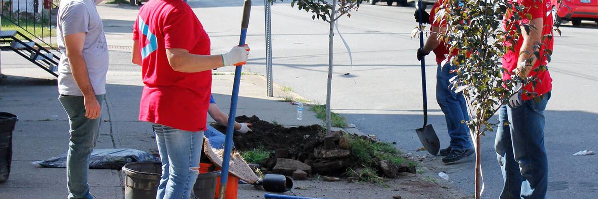 The Ohio River community of Newport bands together to slow runoff and add greenspace