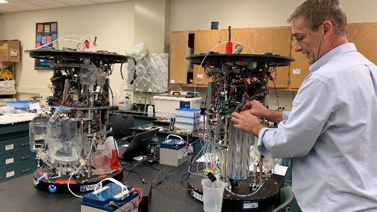 A remedy for harmful algal blooms? Scientist thinks he's found one