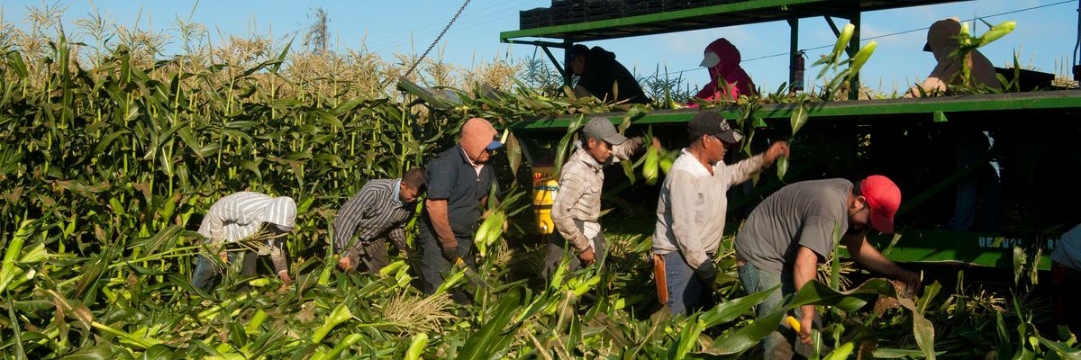 New country, same oppression: It’s time to bolster farmworkers’ rights