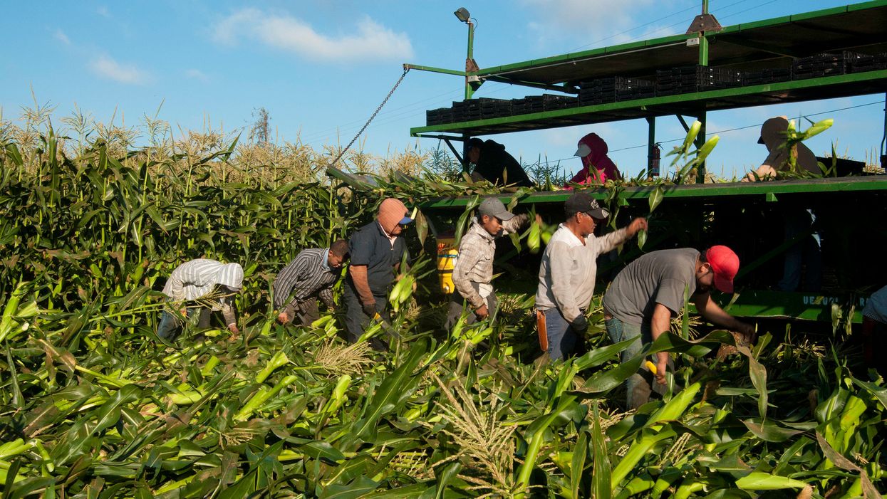 New country, same oppression: It’s time to bolster farmworkers’ rights