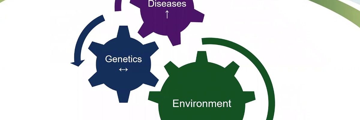Vandenberg, Trasande, Sargis: Understanding endocrine disruptors