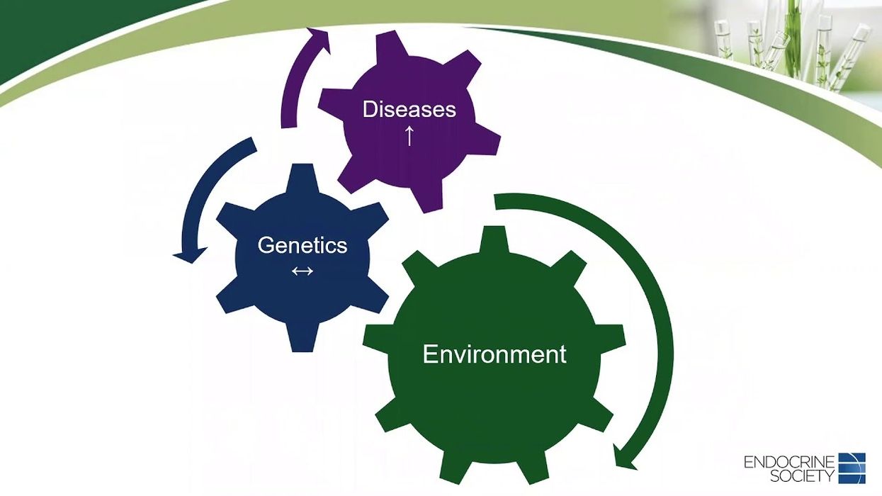 Vandenberg, Trasande, Sargis: Understanding endocrine disruptors