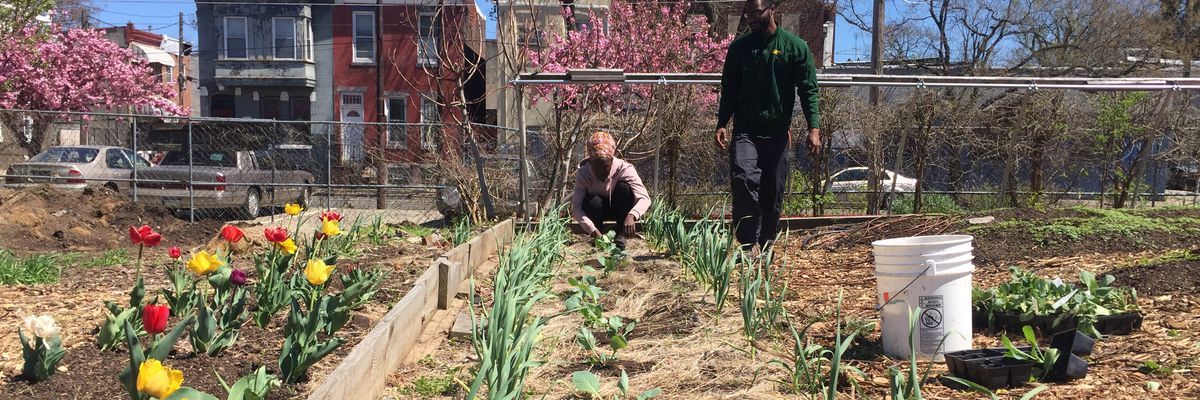 No cultivamos porque está de moda: Cultivamos como resistencia, para la curación y la soberanía