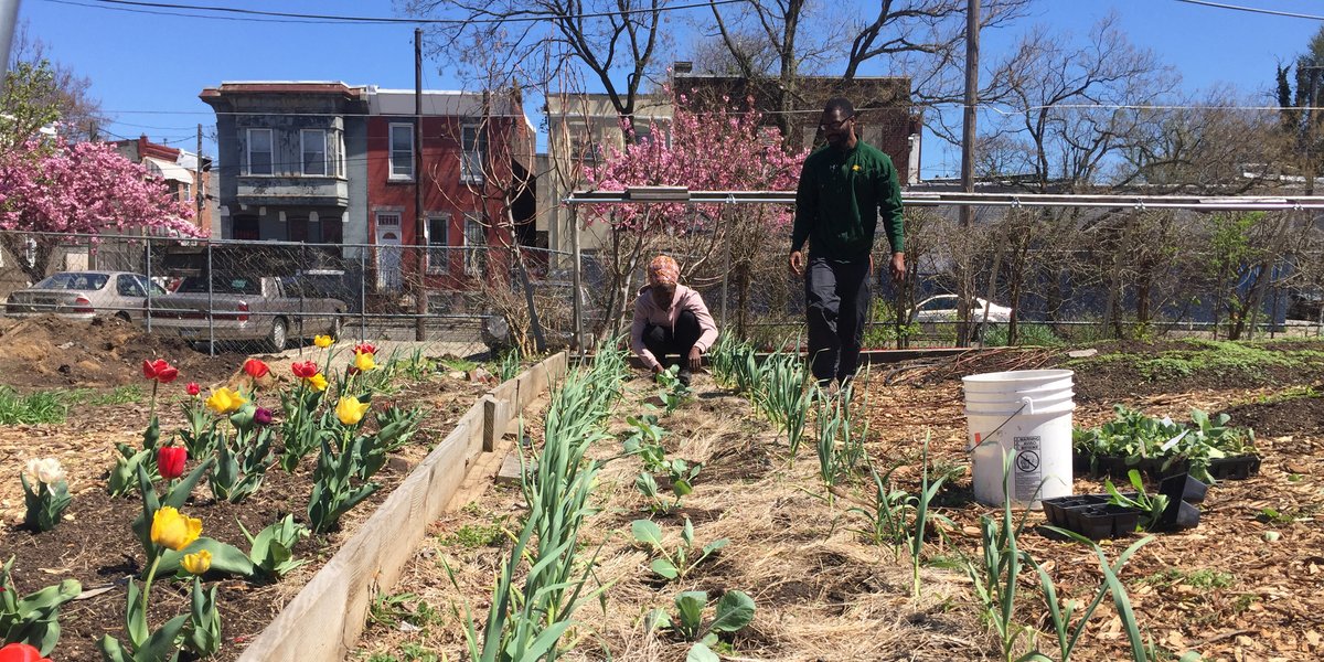 No cultivamos porque está de moda: Cultivamos como resistencia, para la curación y la soberanía