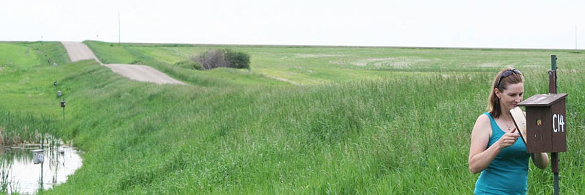 Winged Warnings: New generation