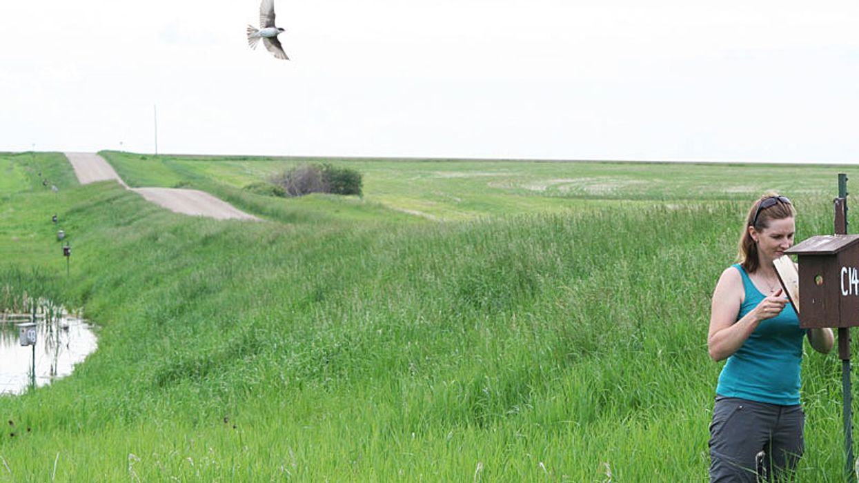 Winged Warnings: New generation