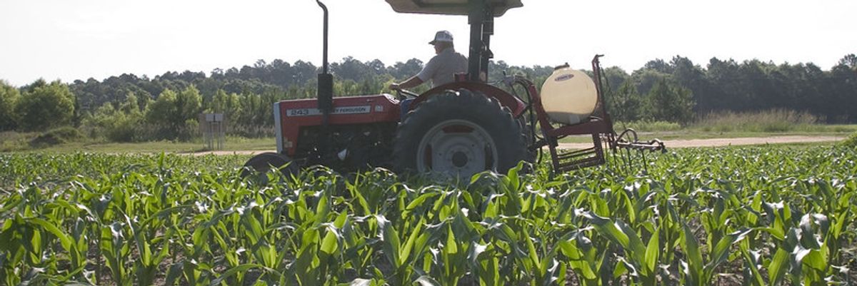 Frogs feminized, but atrazine's effects on people uncertain.