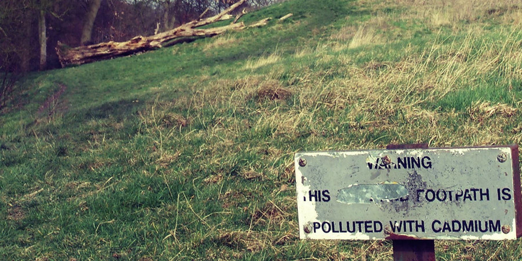 Feeling old? It might be from heavy metal.