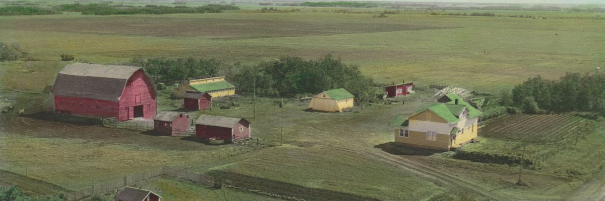 Pesticide use by farmers linked to high rates of depression, suicides