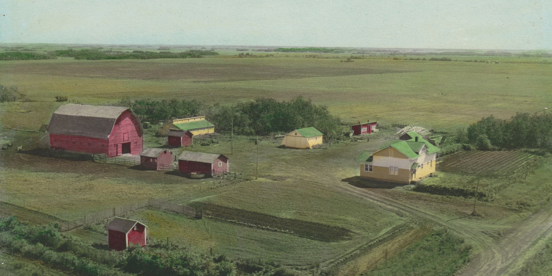 Pesticide use by farmers linked to high rates of depression, suicides