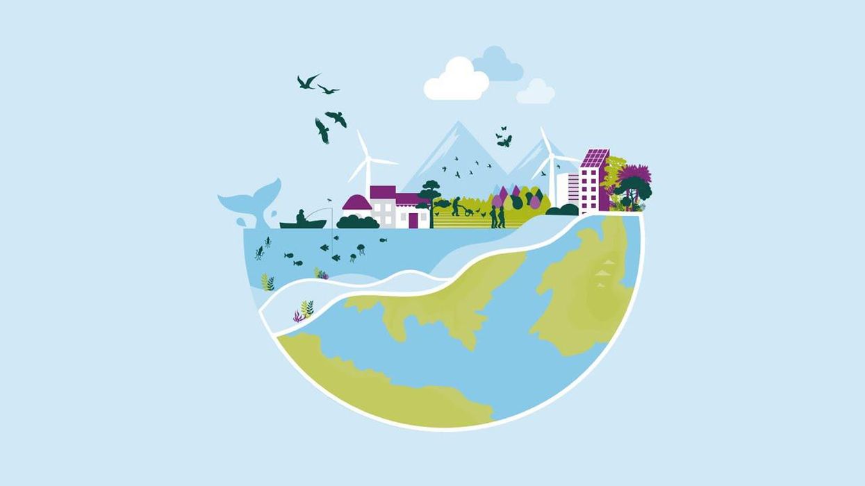 WATCH: The economics of biodiversity