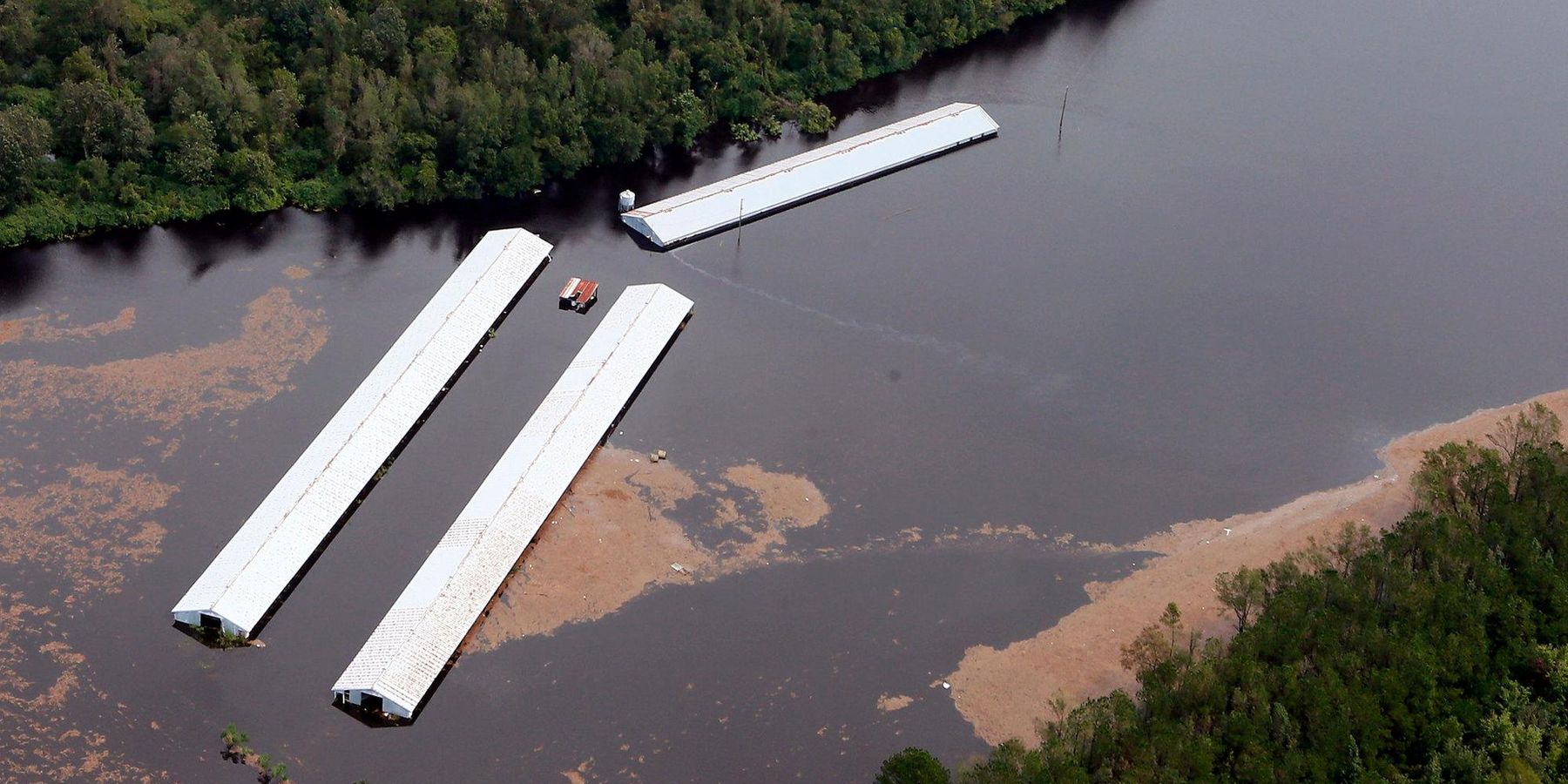 Hurricane season spurs hog waste worries in North Carolina